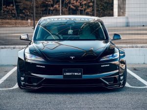 Tesla Model 3 Liberty Walk